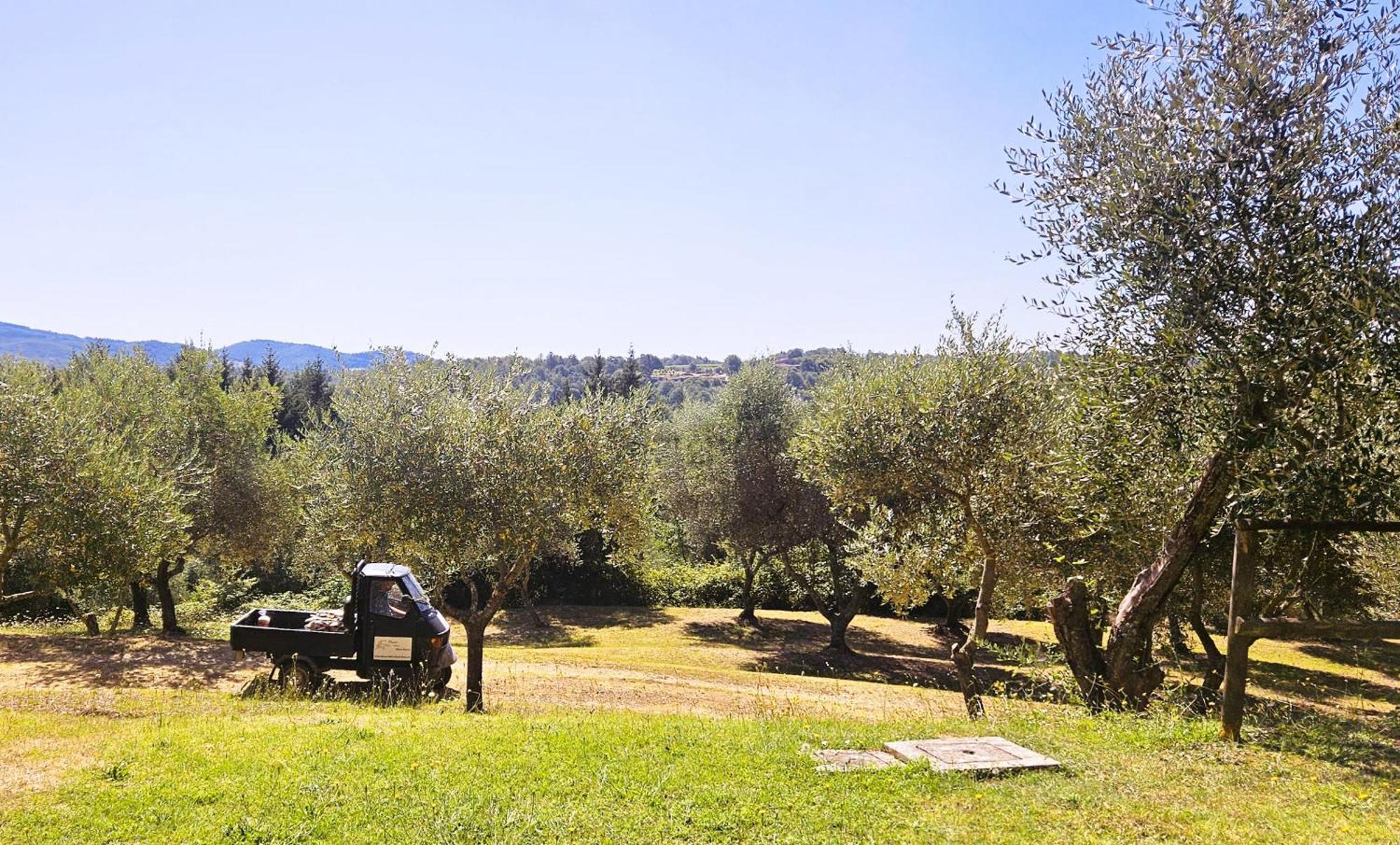 Pian Della Bandina Apartment Città della Pieve Exterior foto